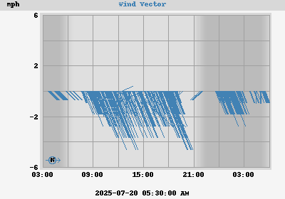 Wind Vector
